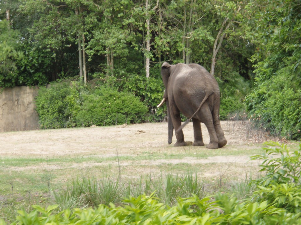 sm_P5063080.JPG