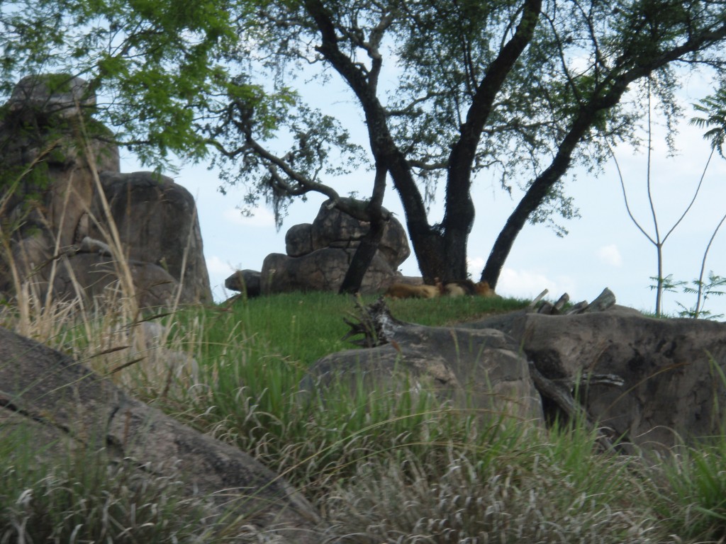 sm_P5063096.JPG