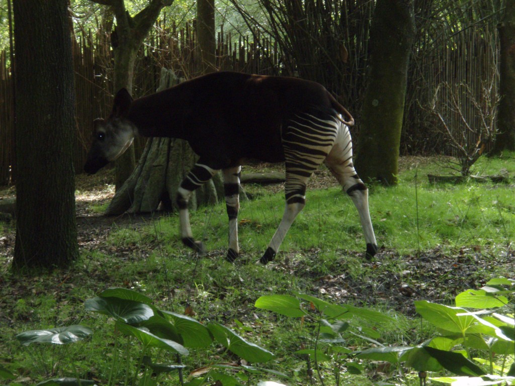 sm_P5063112.JPG