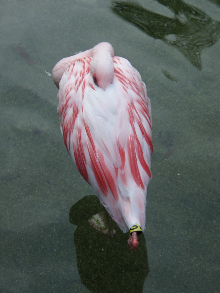 sm_P5063164.JPG