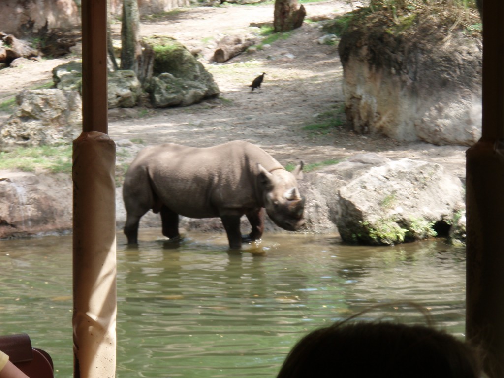 sm_P5067039.JPG