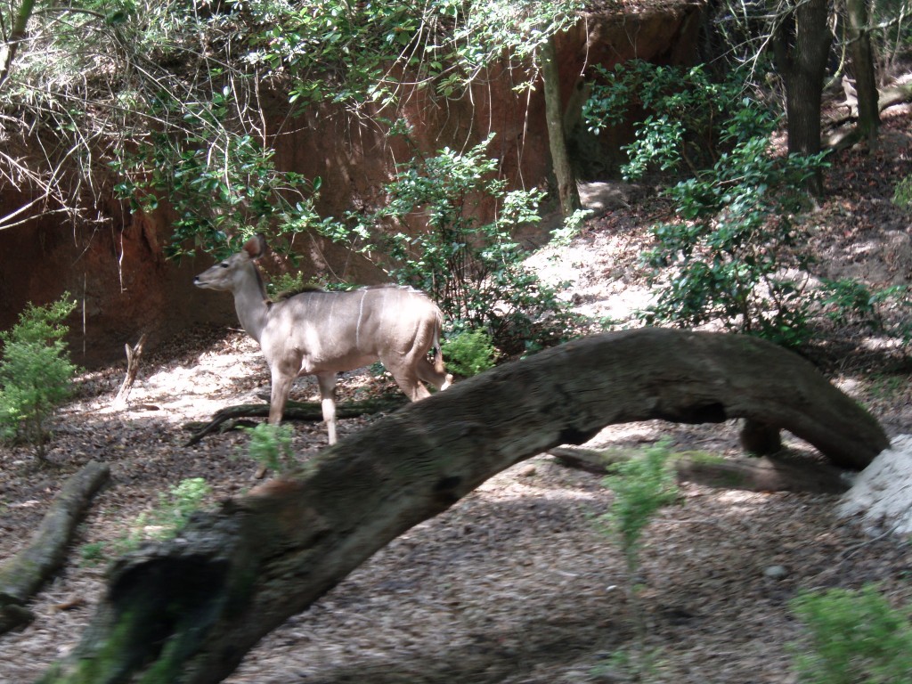 sm_P5067042.JPG