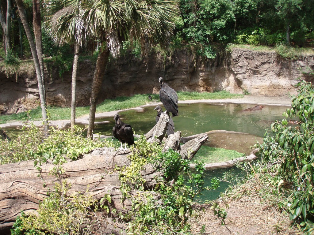 sm_P5067046.JPG