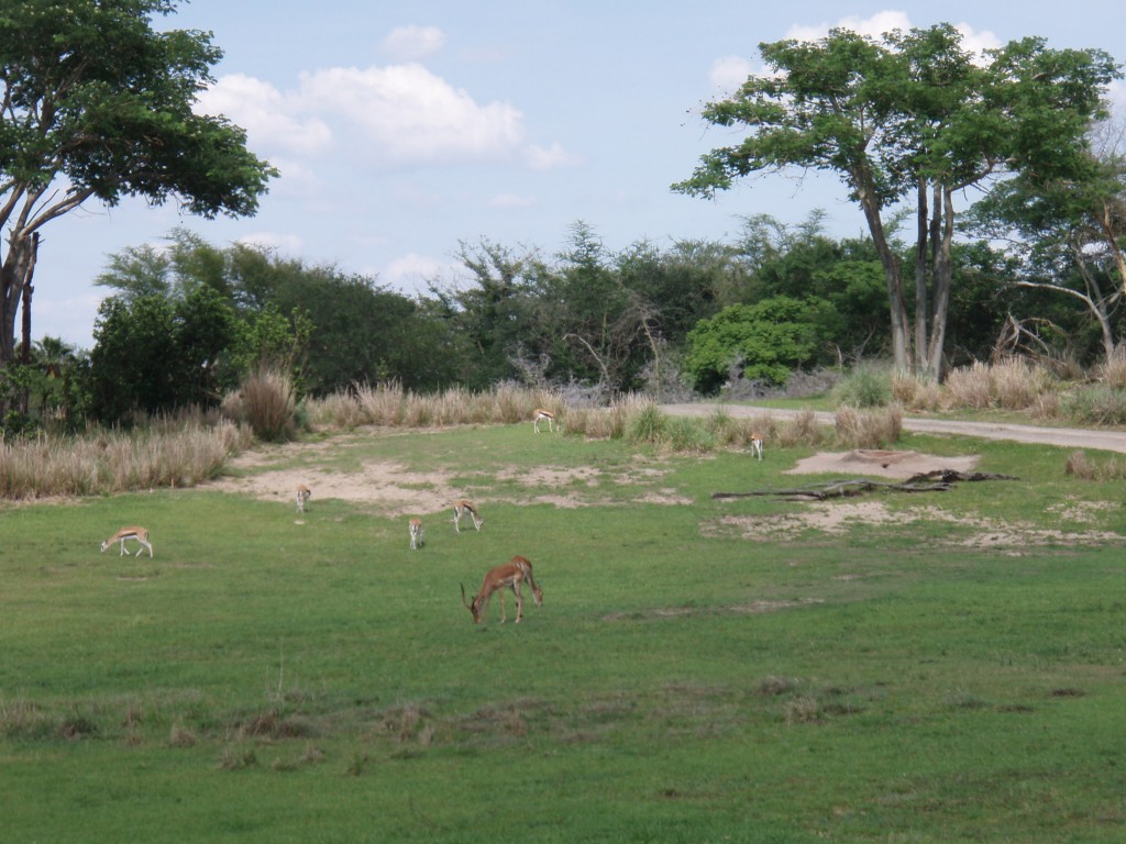 sm_P5067068.JPG
