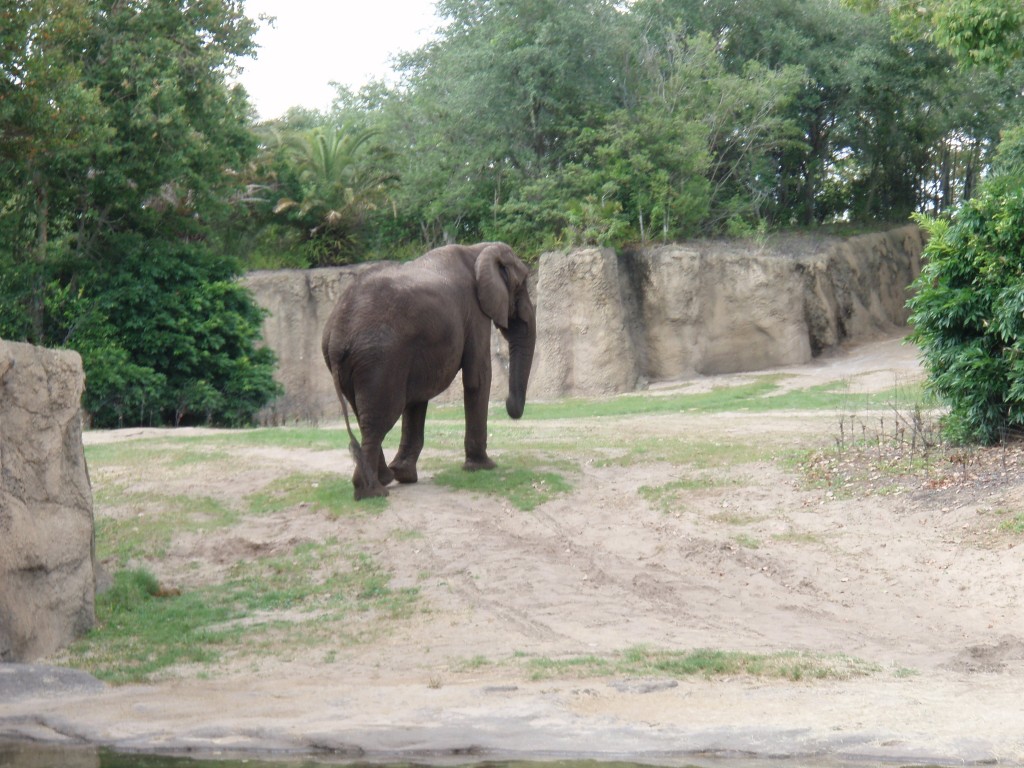 sm_P5067074.JPG