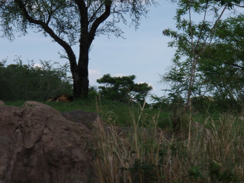 sm_P5067094.JPG
