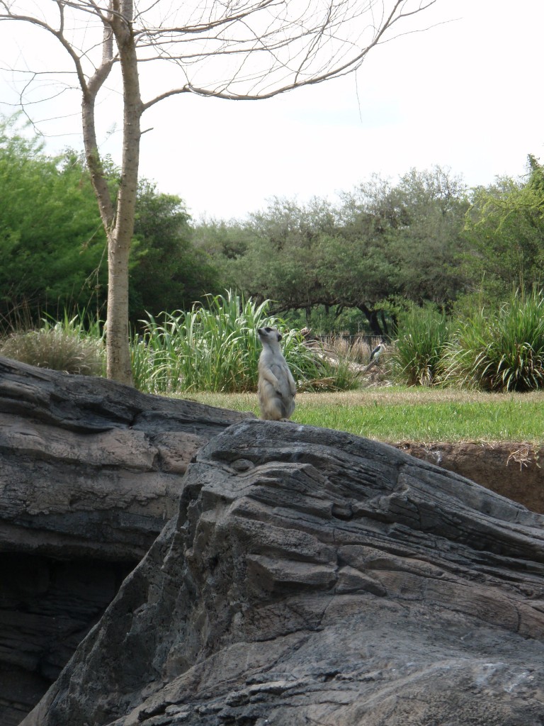 sm_P5067142.JPG