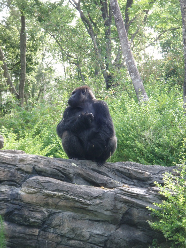 sm_P5067153.JPG