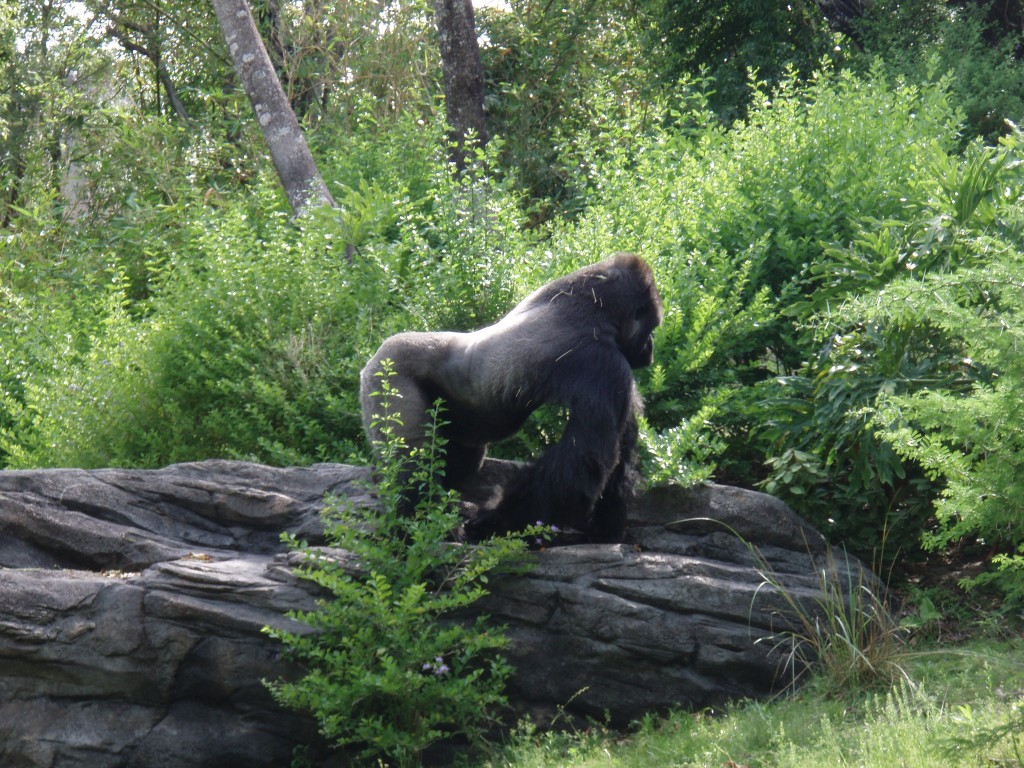 sm_P5067158.JPG