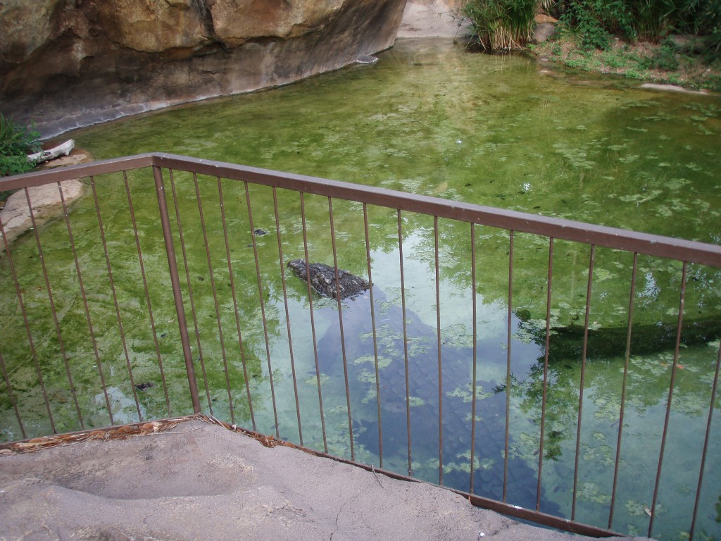 sm_P5067181.JPG