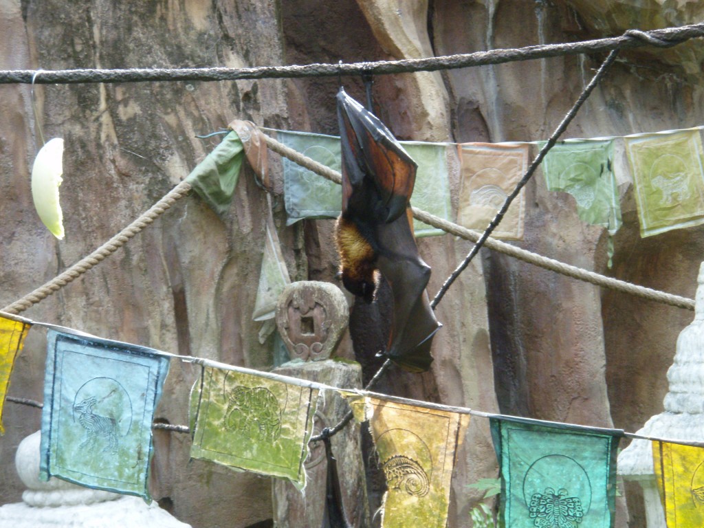 sm_P5073260.JPG