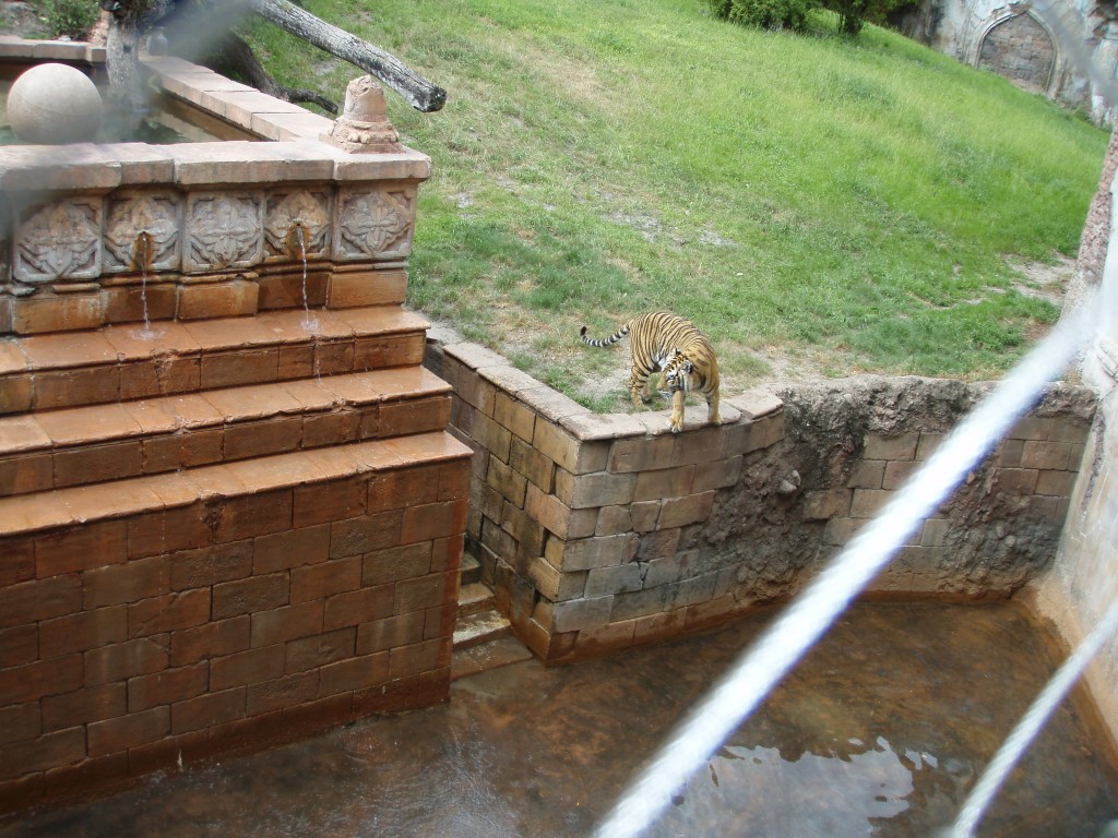 sm_P5073275.JPG