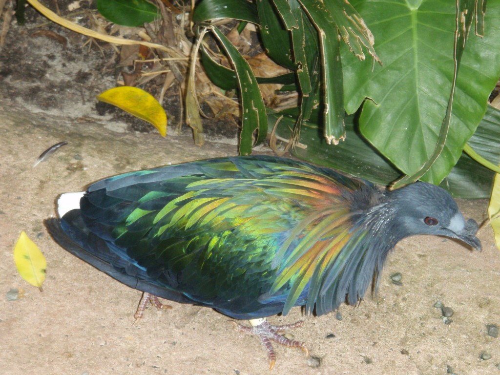 sm_P5073304.JPG
