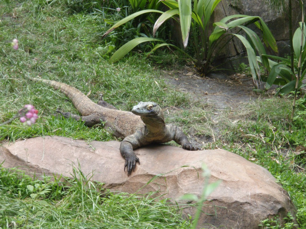sm_P5073305.JPG