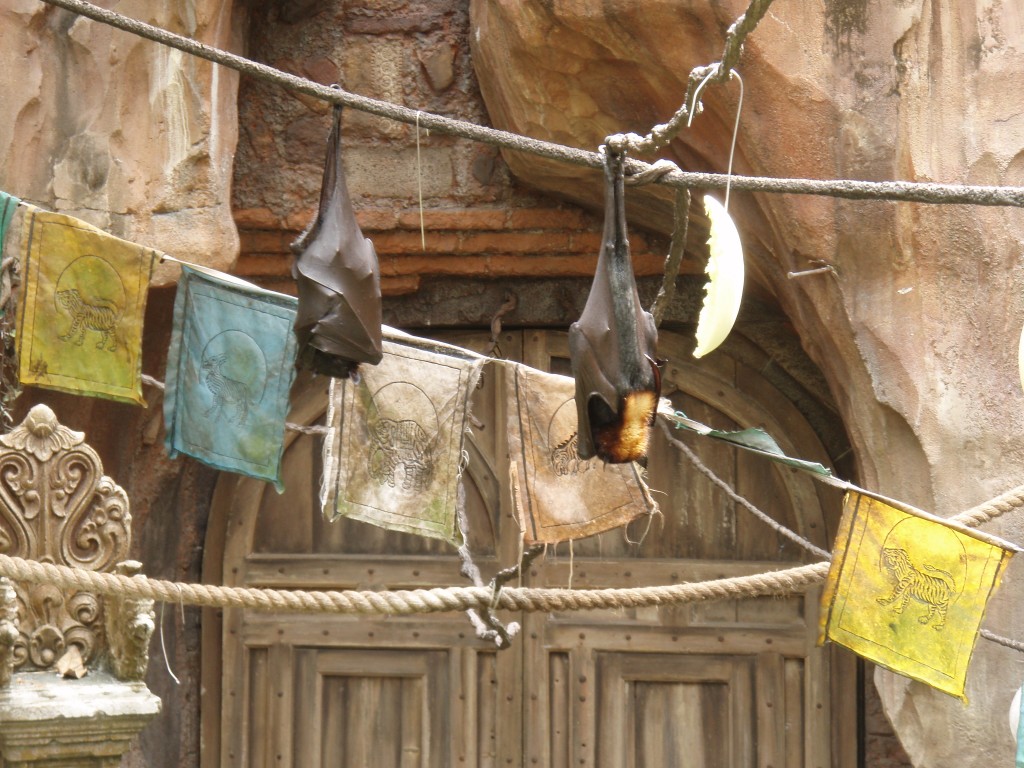 sm_P5077343.JPG