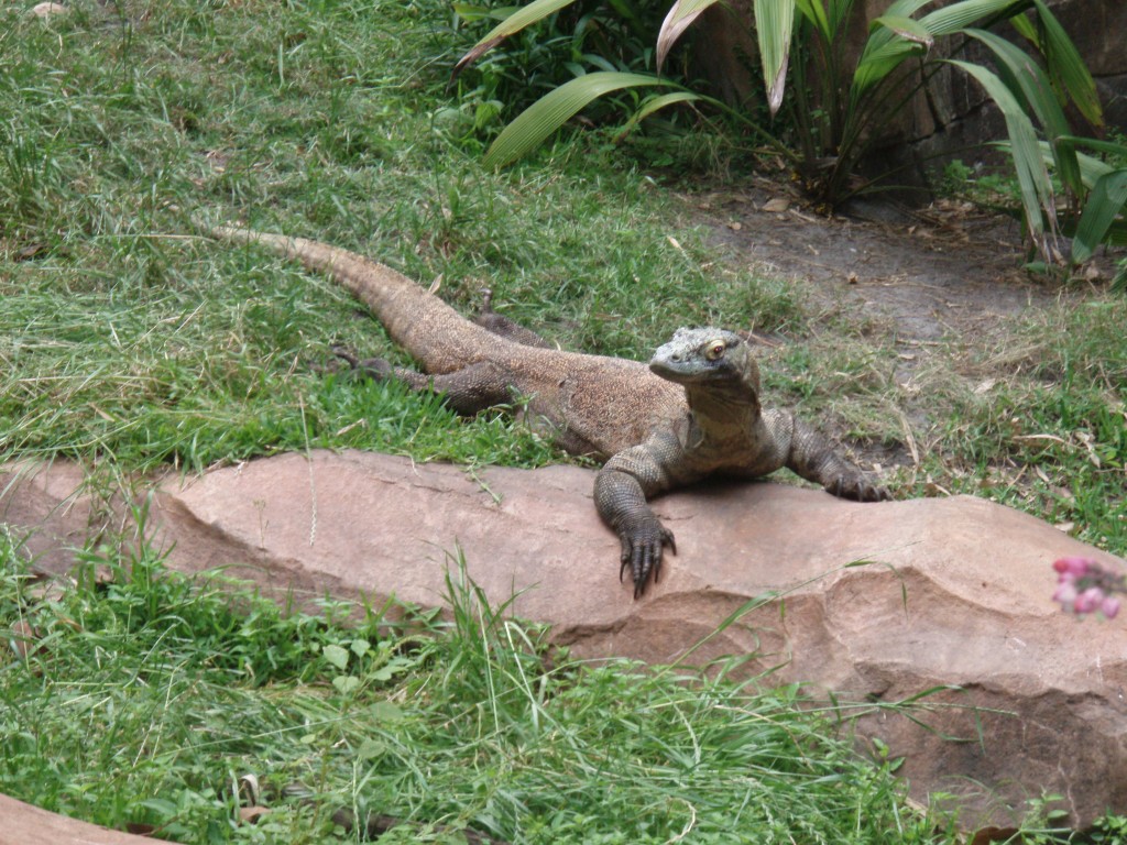sm_P5077407.JPG