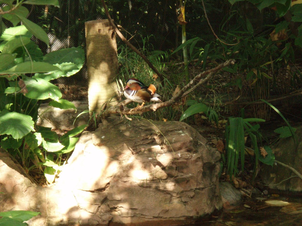 sm_P5077442.JPG