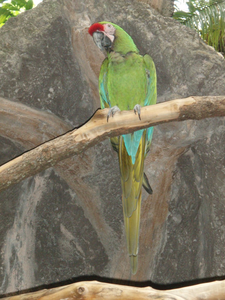 sm_P5077457.JPG