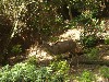 sm_P5063059.JPG
