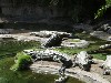 sm_P5063067.JPG