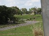 sm_P5063072.JPG
