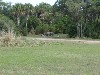 sm_P5063073.JPG