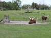 sm_P5063075.JPG
