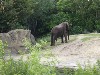 sm_P5063078.JPG