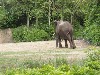 sm_P5063080.JPG