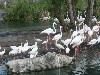sm_P5063087.JPG