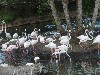sm_P5063088.JPG