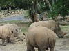 sm_P5063090.JPG