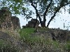 sm_P5063096.JPG