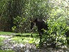 sm_P5063111.JPG