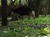 sm_P5063112.JPG
