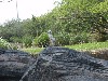 sm_P5063136.JPG