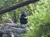 sm_P5063138.JPG
