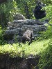 sm_P5063139.JPG