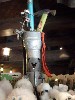 sm_P5063149.JPG