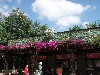 sm_P5067032.JPG