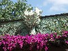 sm_P5067033.JPG