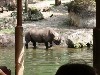 sm_P5067039.JPG
