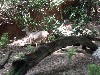 sm_P5067042.JPG
