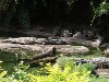 sm_P5067057.JPG