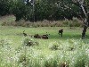 sm_P5067061.JPG