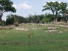 sm_P5067068.JPG
