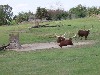 sm_P5067070.JPG