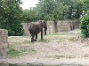 sm_P5067074.JPG