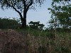 sm_P5067094.JPG