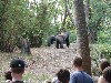 sm_P5067101.JPG